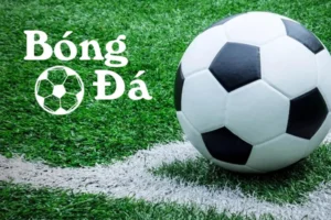 Quy Định Bóng Trong Cuộc Và Bóng Ngoài Cuộc Trong Bóng Đá Chi Tiết Và Dễ Hiểu