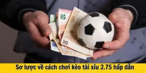 Hướng Dẫn Cụ Thể Cách Chơi Kèo 2.75 Hiểu Rõ Quy Tắc Và Tăng Tỷ Lệ Thắng