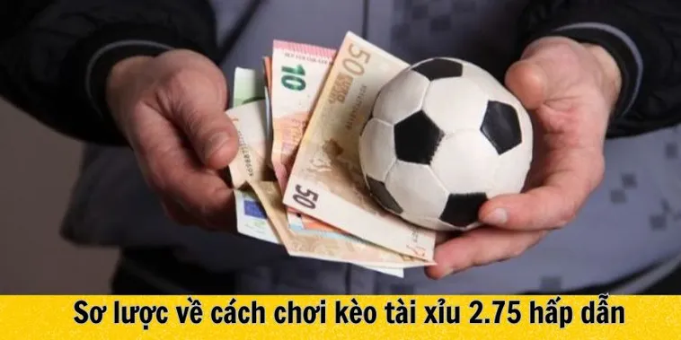 Hướng Dẫn Cụ Thể Cách Chơi Kèo 2.75 Hiểu Rõ Quy Tắc Và Tăng Tỷ Lệ Thắng