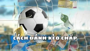 Hướng Dẫn Cụ Thể Cách Chơi Kèo Chấp 2 Trái Hiểu Rõ Quy Tắc Và Tính Toán Chuẩn Xác