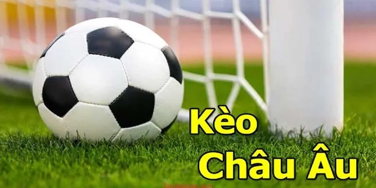 Cách Chơi Kèo Châu Âu Chi Tiết Và Hiệu Quả Cho Người Mới Bắt Đầu