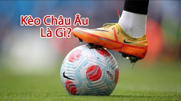 Cách Chơi Kèo Châu Âu Chi Tiết Và Hiệu Quả Cho Người Mới Bắt Đầu