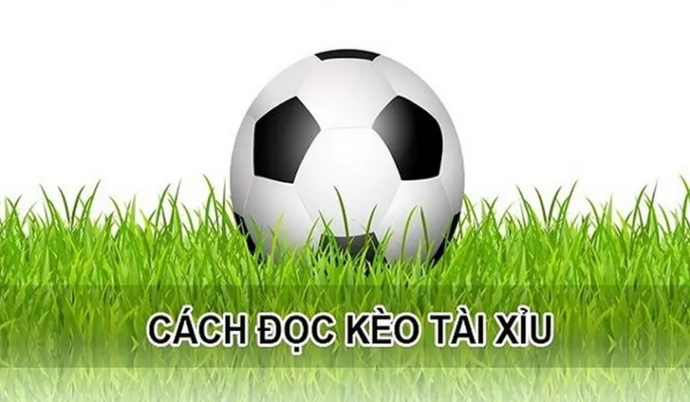 Cách Chơi Kèo Tài Xỉu Hiệp 1 Chính Xác Và Hiệu Quả Cho Người Mới Bắt Đầu