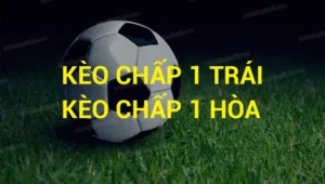 Cách Chơi Kèo Chấp 1 Chuẩn Xác Và Hiểu Đúng Tỷ Lệ Cược Từ A Đến Z