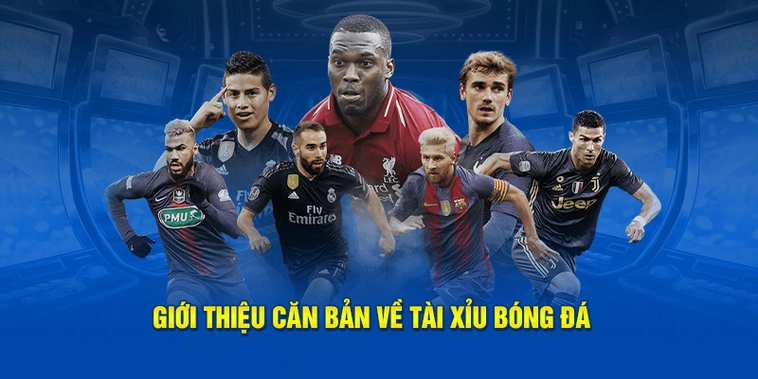 Cách Chơi Kèo Tài Xỉu Bóng Đá Chuẩn Xác Nhất Cho Người Mới Tham Gia Cược