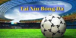 Cách Chơi Kèo Tài Xỉu Bóng Đá Chuẩn Xác Nhất Cho Người Mới Tham Gia Cược