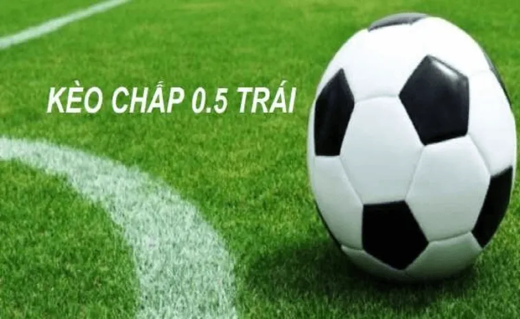 Cách Chơi Kèo Chấp 0.5 Hiệu Quả Và Chính Xác Cho Người Mới Bắt Đầu Cá Cược