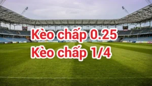 Hướng Dẫn Chi Tiết Cách Chơi Kèo Chấp 0.25 Dễ Hiểu Hiệu Quả Cao Cho Người Mới